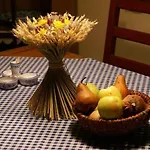 莫德拉查鲁普卡乡村民宿 * 克雷姆尼察