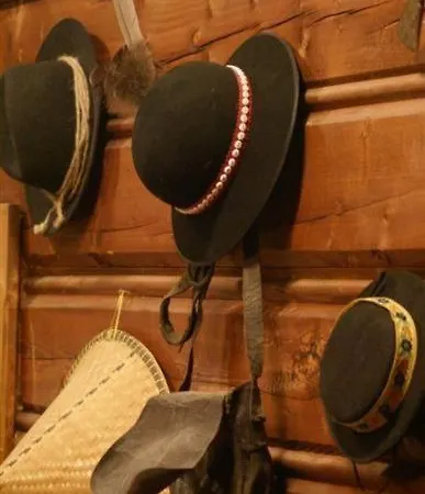 Εξοχικό σπίτι Modra Chalupka