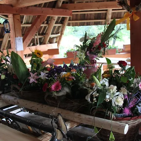 莫德拉查鲁普卡乡村民宿 克雷姆尼察